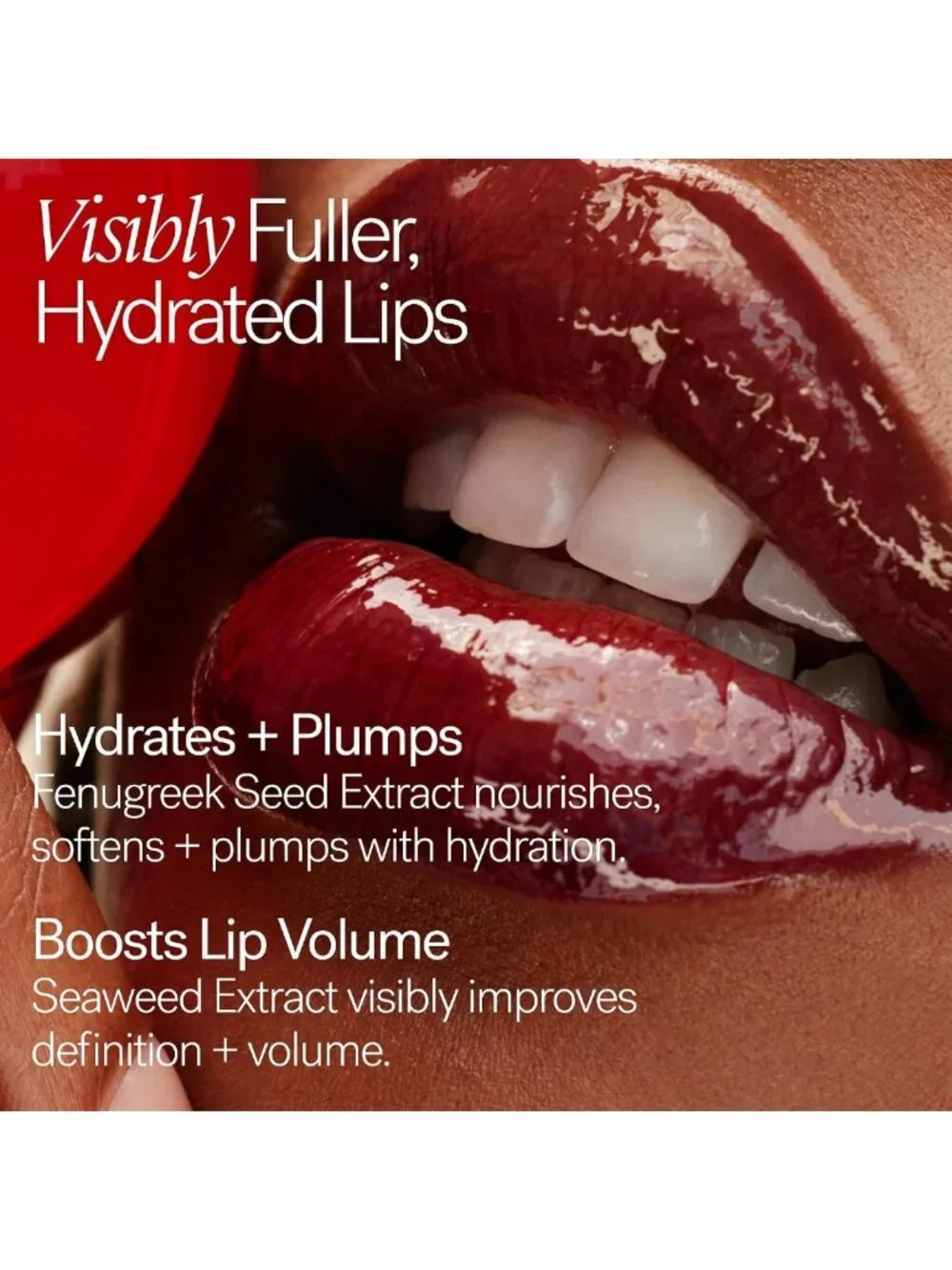 Hydrating Lip Gloss | Plump & Smooth | Long-Lasting, High Shine, Vegan